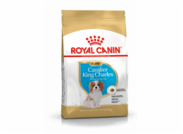 Royal Canin BHN Cavalier King Charles Spaniel Puppy - suché krmivo pro štěňata - 1,5 kg