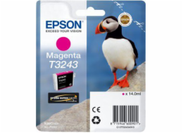 Epson Ink T3243 SC-P400 Purpurový inkoust (C13T32434010)