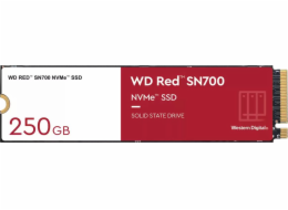 WD Red SN700 250 GB M.2 2280 PCI-E x4 Gen3 NVMe SSD (WDS250G1R0C)