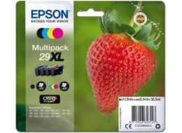 Inkoust Epson C13T29964012, T29XL (CMYK)