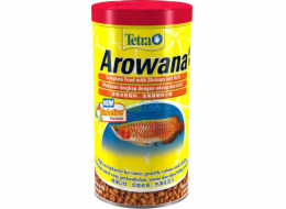 Tetra Arowana 1 rok