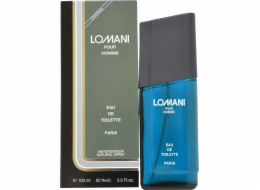 Lomani Spirit Millionaire EDT 100 ml