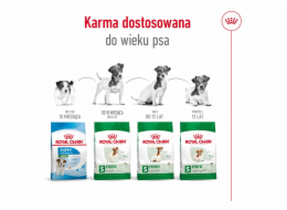 ROYAL CANIN Mini Adult +8 - suché krmivo pro psy - 2 kg