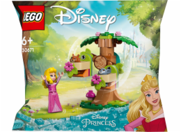 LEGO 30671 Stavebnice lesního hřiště princezny Aurory od Disneyho