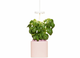 Pret a Pousser Nano Quartz Pink + Basil Pod