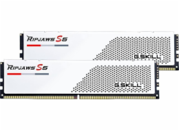  DIMM 48 GB DDR5-6000 (2x 24 GB) duální sada, RAM