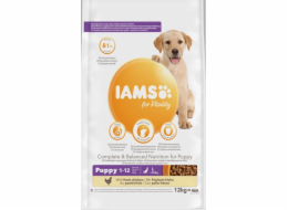 IAMS for Vitality Puppy Large Breed - suché krmivo pro psy - 12 kg