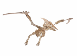 Woodcraft Dřevěné 3D puzzle Pterosaur