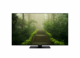 Panasonic TB-43W60AEZ black