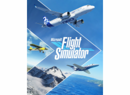 ESD Microsoft Flight Simulator Deluxe Edition