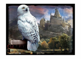 PRIME 3D PUZZLE - Harry Potter - Hedvika 300 ks