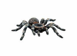 Tarantule bílá