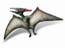 Pteranodon Museum Line