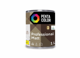 Základ barvy Pentacolor Professional Matt, emulze, 1l