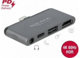 Delock Mini Docking Station pro iPad Pro s 4K 60 Hz