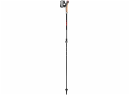 LEKI POLES Instruktor Nordic Walking Lite ed