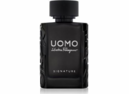 Salvatore Ferragamo Uomo Signature EDP 30 ml