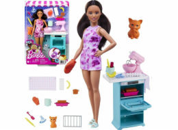 Barbie panenka Barbie Cook s kotětem (HCD44)