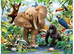 PUZZLE - Junior Jungle 100 ks