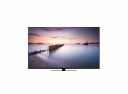 Panasonic TV-55W80AEZ schwarz