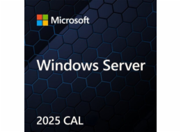 Microsoft Windows Svr CAL 2025 PL Clt User CAL OEM