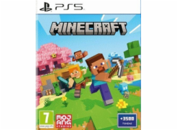 PS5 - Minecraft