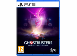 Ghostbusters: Spirits Unleashed PS5