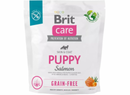 Dry food for puppies and young dogs of all breeds (4 weeks - 12 months).Brit Care Dog Grain-Free Puppy Salmon 1kg